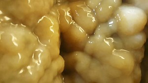 Calcite formation in a coastal mine | Carbis Bay Crew