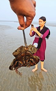 3.1K views · 11 reactions | Bony Skeleton Fish | Kolkata Fishing | Facebook