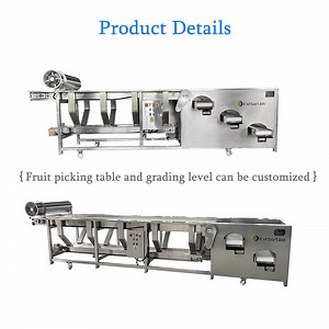 [Hot Item] Industrial Professional Fruit Grading Machine Blueberry Sorting Machine Line Blueberry Calibrating Machine with Sorting Table Bluebarries Size Sorting Machine