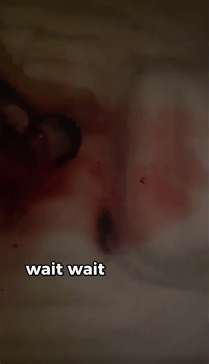 Momento exacto que nace bebé en el agua. PARTO EN CASA 😍