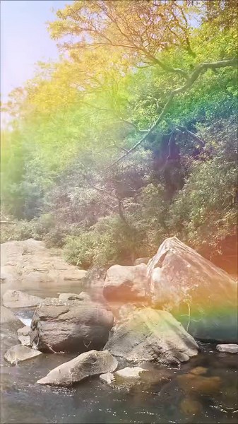 #wonderlust #nature #srilanka #travelsrilanka #vacation