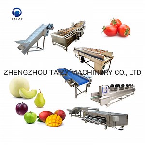 [Hot Item] Fruit Vegetable Processing Machines Apple Washing Drying Waxing Sorting Machine