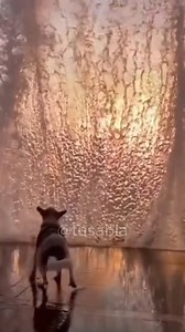 Parte 201 | Fatos curiosos que você não sabia 😲 #vocesabia #curiosidade #conhecimento #fatosdesconhecidos #fatoscuriosos | Tu Sabia?