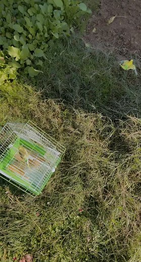 حسابات مقترحة