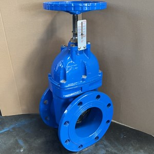 [Hot Item] Resilient Seated Gate Valve Visual Position Indicator