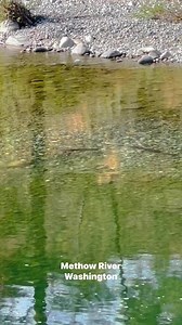 12K views · 186 reactions | Methow River Washington #riverfishing #reelsfb #fishing #fishinglife #washingtonriver #methowriver #beauty #naturephotography #pnw #photo #reelsvideo #fishingwithseabass | Fishing with Seabass | Facebook