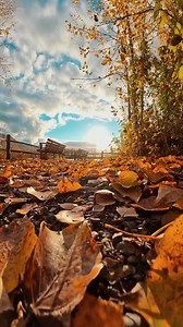 How beautiful autumn mornings are in Palmer Alaska #alaska | John Derting