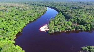 O #GloboRepórter te leva para uma visita pelo Pantanal. Você vai ver plantas que curam, como o ipê pantaneiro que guarda um remédio poderoso. Alguém arrisca para quê? 🐍🐆🐊 | Globo Repórter