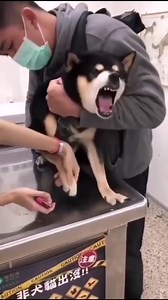 65K views · 2K reactions | Sad Life  | Lucifer | Facebook