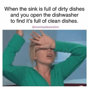Fuuuuuuu*k. Do you empty the clean ones or just jam in the dirty ones and rewash everything? Like Mommy Dearest Inc. for more truth! | Financial Dumdums