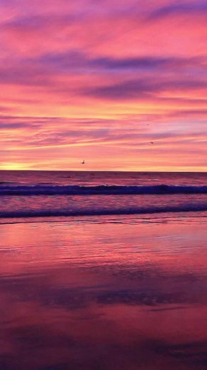 Embark on an endless word quest with Infinite Word Search! Play now! #iws #trending #trendingreel #viral #fyp #searching #playtime #randomlogicgames | Random Logic Games