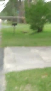 16 reactions · 3 comments | Strong thunderstorm winds dropped this tree in Waycross, Georgia. The severe weather threat is over for tonight but scattered showers & storms will redevelop Friday with a few strong to severe storms possible. But the front exits Friday night providing a very nice weekend! Action News Jax News 104.5 WOKV | Mike Buresh | Facebook