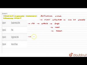 What is the genetic material in influenza virus ?