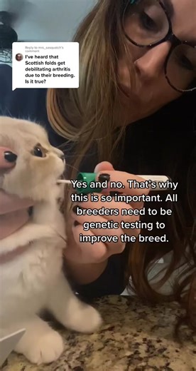 Reply to @mrs_sasquatch so much of the health stigma can be prevented. I will have so much more on this soon @Basepaws 🐱🧬 #genetictesting #scottishfold #osteochondrodysplasia #science #endbadbreeding