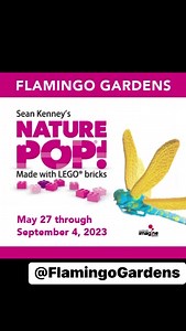 Flamingo Gardens on Reels