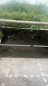 197K views · 618 reactions | Many species of fish and eels Underwater Lawnmowers Fishing ep48 | Anhnongdanth | Facebook