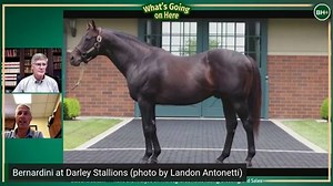 What's Going On Here: Michael Banahan