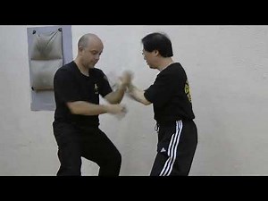 Xingyiquan with master CS Tang