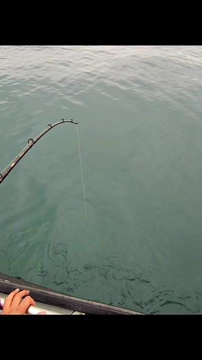 13K views · 195 reactions | Saltwater Safari - Fishing in Seward, Alaska on Reels | Facebook