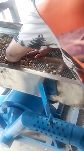 Actual Demo of Peanut Sheller Machine!! | Payo Dok Alternatibo Machineries