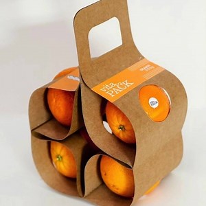 13 reactions | We love clever design. What a better way to carry four oranges with one hand than with this innovative packaging?  | Recreate Packaging | Facebook