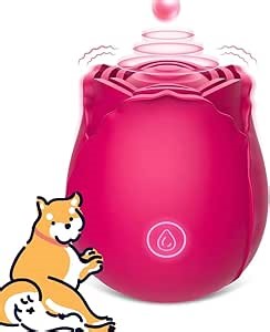 Amazon.com: Rose Adult Tool,Newly Upgrade Roses Waterproof Toy Mini Tool for Women 10 Speed Gifts Washable Birthday Gifts for Women Y+675 : Salud y Hogar