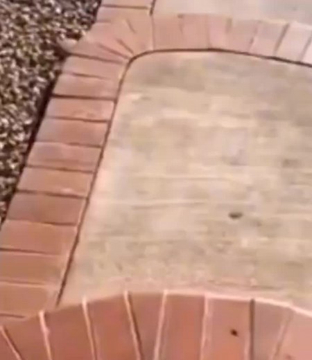 ы... #dream #dreamsmp #mcyt