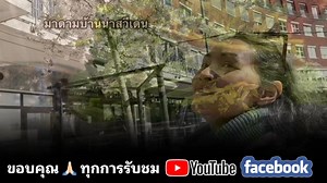 ของฟรีจากธรรมชาติ ฟินเลยจ้า กวางตุ้งป่า Early Yellow Rocket (Barbarea verna) 🇸🇪 Vinterkrasse, Vårgyllen ต้นใหญ่ อวบ หวานกรอบ เหมือนกวางตุ้งไทย ทำได้ทุกเมนูเช่นกัน #มาดามบ้านนาเก็บผัก #ผักป่าสวีเดน2025 #ผักป่าเมืองนอก #ผักป่ากินได้ #เก็บผักต่างประเทศ #เก็บผักต่างแดน ผักป่าสวีเดนกินได้ | มาดามบ้านนาสวีเดน คนบุรีรัมย์