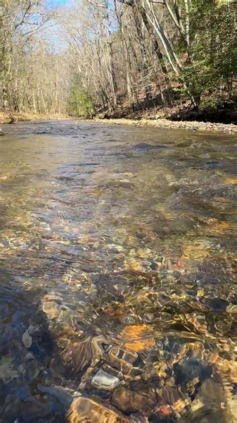 4.2K views · 69 reactions | Hidden secret Spring off of cedar glades road in the middle of the woods #springs #fypシ゚ #viral #hotspringsarkansas | Hot Springs Broadcast Network | Facebook