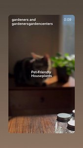 Gardener's Supply Company on Reels | Facebook