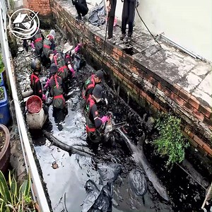 77K views · 1.2K reactions | I Cleaned The World’s Dirtiest Pool Satisfying Pool Cleaning for FREE SGX | Clean Up TV | Facebook