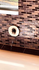 55K views · 631 reactions | House tour! | The Beverly Halls | Facebook