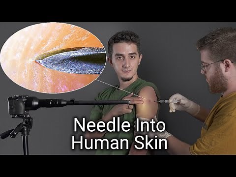 Zooming into Everyday Objects Close-Up (1000x Macro Camera test)