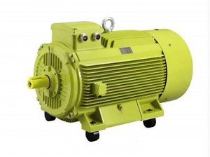[Hot Item] Special Three Phase Asynchronous Induction Motor