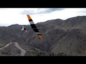 Libelle Likes to Loop