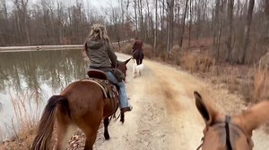 LAYLA , MONKEY , RIO AND MATTIE ROSS | Max Bishop