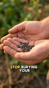 The Paper Towel Method (Germination) #diy #garden #hack #viral #reel #reels #fblifestyle #garden #gardening #plants #flowers #gardenlife #gardeninspiration #gardendesign #nature #gardenlove #mygarden | GardenGrow