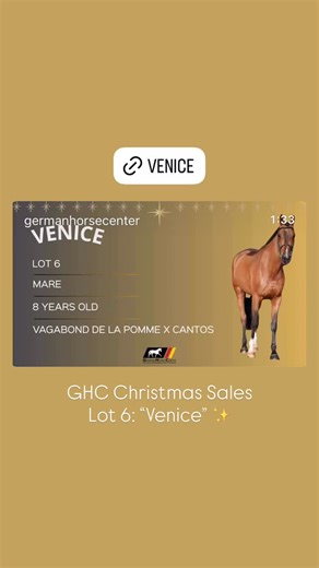 German Horse Center on Reels