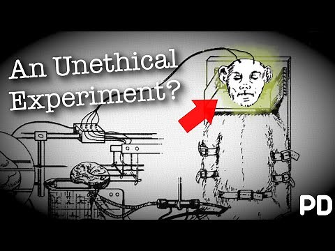 The Dark side of Science: The 1970 Monkey Head experiment (Short Documentary)