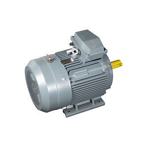 [Hot Item] Tcyp225s-750/18.5kw Variable Frequency Synchronous Reluctance Motor