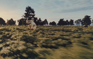 62K views · 177 reactions | proof of life 18 tracks july 19th | Boombox Cartel | Facebook