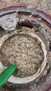 #drain #drainclean #unclogging #clean #uncloggingdrains #pipe #drainer #cleaning #fyp #draincleaning #plumbing #plumber #backedup #poo #poop #sewer #sewerage #blockeddrain #CleanTok #satisfying #backeduppoop #debouchage #septictank #drains #cloggeddrain #assainissement #toilette #unblock #pipes #shit #jetteing #drainpipe #manhole #sewage #asmr #fypシ #wow #edutok #tiktok #foryoupage #viralvideo #viraltiktok | Facts Flash