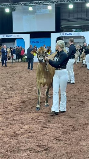 Jersey Cattle Society of the UK on Reels