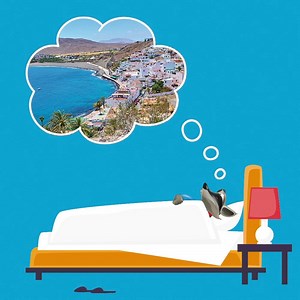 6.8K views · 64 reactions | Träumen erlaubt. 劣   Im Winter 2020/2021 bringen wir euch wieder mit Sundair an die Sonne. ☀️  ---  Mein Airport  info@kassel-airport.de  kassel-airport.de/ | Kassel Airport | Facebook