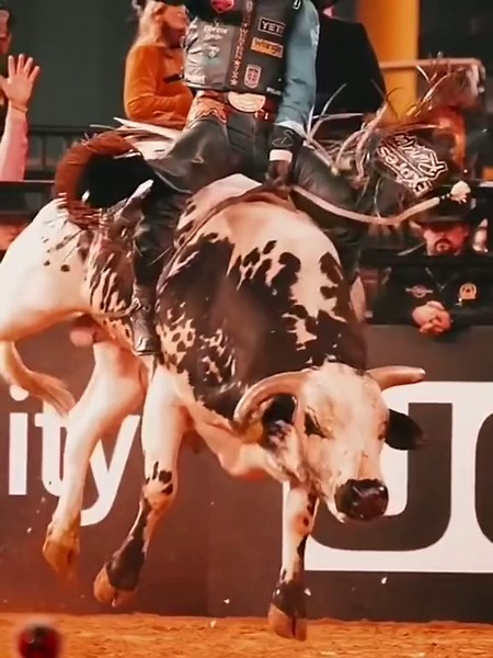 The American Rodeo Bullriding Champion@stetsonusa Wright#doublejquarterhorse #theamericantr #rodeo#cowboy #rank #bulls #bullriding