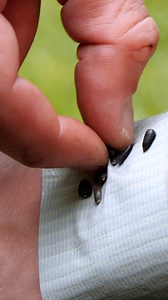 Clean and Easy Seed Planting | Crafty Panda How