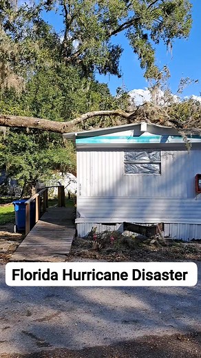 Parsons Property Renovations, LLC Hurricane Disaster Clean up #treeservice #fypageシ #landscape #viralreelsfb #florida #hurricane | Tiler Parsons