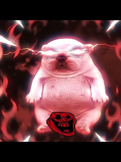 I AM PIBBLE WASH MY BELLY (phonk edit) (Troll face)