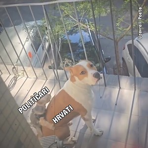 215K views · 1.8K reactions | Moja zemlja Hrvatska...❤️ | Uzavreli Poeta | Facebook