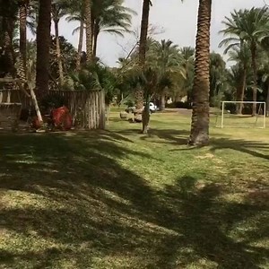 I keep a bowl of salt near my bed. Just in case.  (@nusr_et) | Iconic Movies And Actors | Facebook